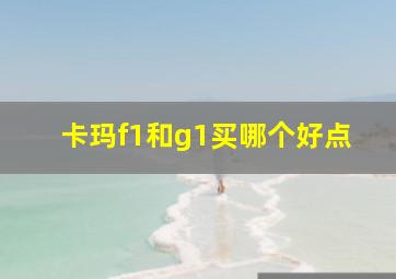 卡玛f1和g1买哪个好点