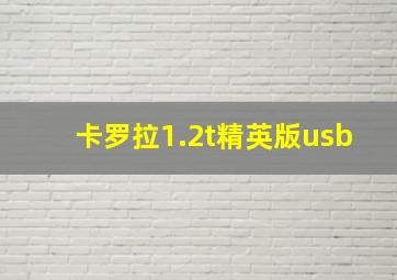 卡罗拉1.2t精英版usb