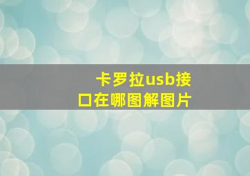 卡罗拉usb接口在哪图解图片