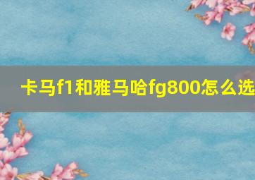 卡马f1和雅马哈fg800怎么选