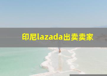 印尼lazada出卖卖家