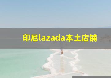 印尼lazada本土店铺