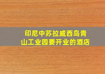 印尼中苏拉威西岛青山工业园要开业的酒店