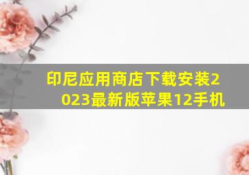 印尼应用商店下载安装2023最新版苹果12手机