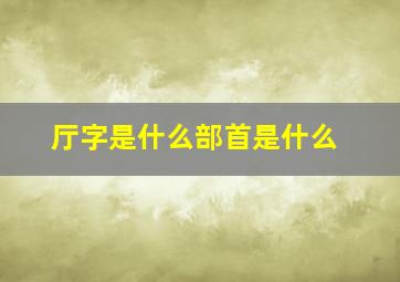 厅字是什么部首是什么