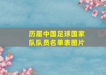 历届中国足球国家队队员名单表图片