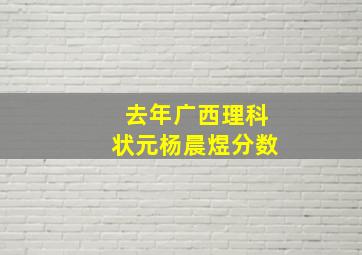 去年广西理科状元杨晨煜分数