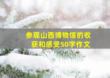 参观山西博物馆的收获和感受50字作文