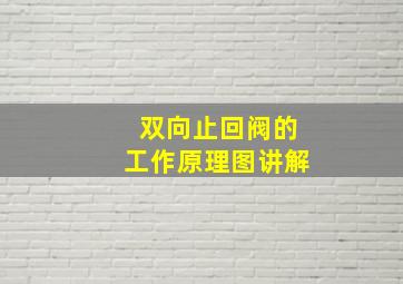 双向止回阀的工作原理图讲解