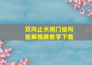 双向止水闸门结构图解视频教学下载