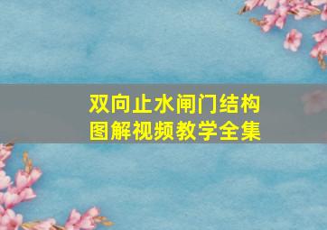 双向止水闸门结构图解视频教学全集