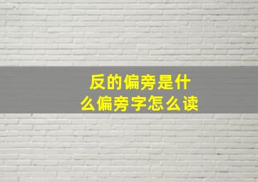 反的偏旁是什么偏旁字怎么读