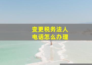 变更税务法人电话怎么办理