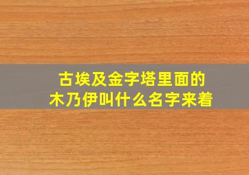 古埃及金字塔里面的木乃伊叫什么名字来着