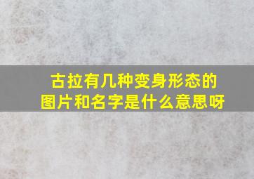 古拉有几种变身形态的图片和名字是什么意思呀