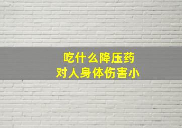 吃什么降压药对人身体伤害小