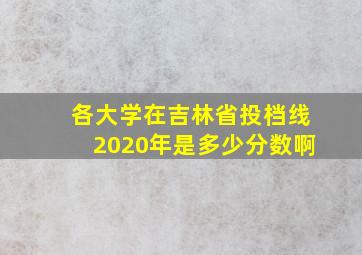 各大学在吉林省投档线2020年是多少分数啊