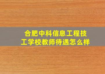 合肥中科信息工程技工学校教师待遇怎么样