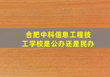 合肥中科信息工程技工学校是公办还是民办