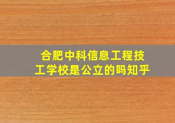 合肥中科信息工程技工学校是公立的吗知乎