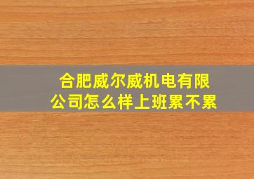 合肥威尔威机电有限公司怎么样上班累不累