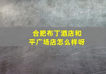 合肥布丁酒店和平广场店怎么样呀