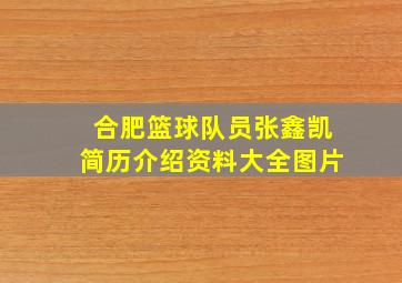 合肥篮球队员张鑫凯简历介绍资料大全图片