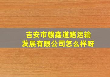 吉安市赣鑫道路运输发展有限公司怎么样呀