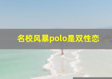 名校风暴polo是双性恋