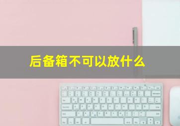 后备箱不可以放什么