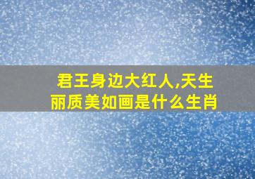 君王身边大红人,天生丽质美如画是什么生肖