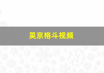 吴京格斗视频