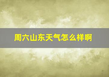 周六山东天气怎么样啊