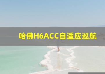 哈佛H6ACC自适应巡航