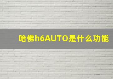 哈佛h6AUTO是什么功能