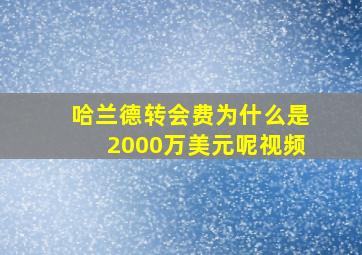 哈兰德转会费为什么是2000万美元呢视频