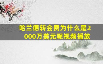 哈兰德转会费为什么是2000万美元呢视频播放