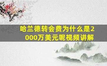 哈兰德转会费为什么是2000万美元呢视频讲解