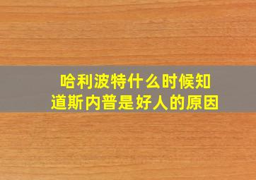 哈利波特什么时候知道斯内普是好人的原因