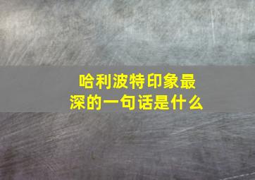 哈利波特印象最深的一句话是什么