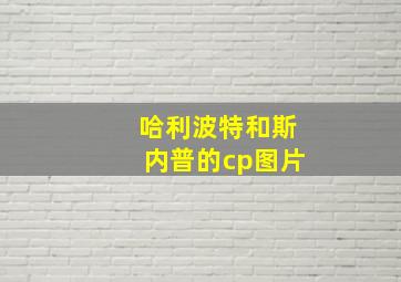 哈利波特和斯内普的cp图片