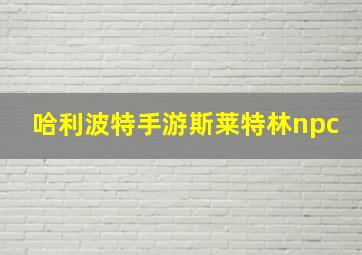 哈利波特手游斯莱特林npc