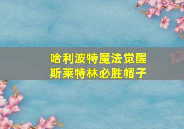 哈利波特魔法觉醒斯莱特林必胜帽子