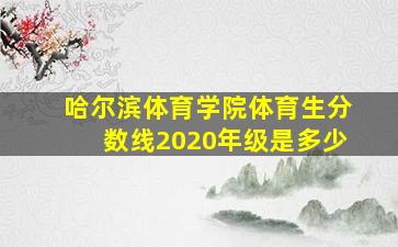 哈尔滨体育学院体育生分数线2020年级是多少