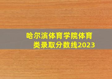 哈尔滨体育学院体育类录取分数线2023