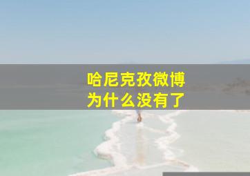 哈尼克孜微博为什么没有了