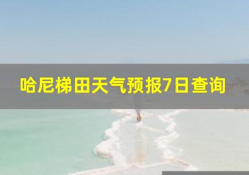 哈尼梯田天气预报7日查询