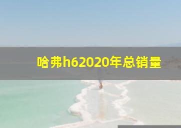 哈弗h62020年总销量