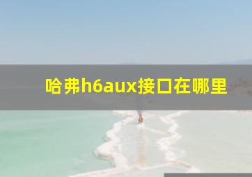 哈弗h6aux接口在哪里