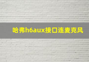 哈弗h6aux接口连麦克风